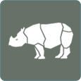 icon java rhino