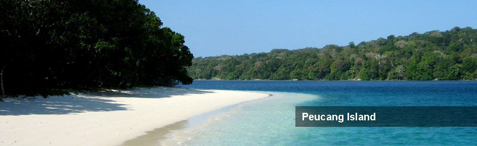 peucang-island